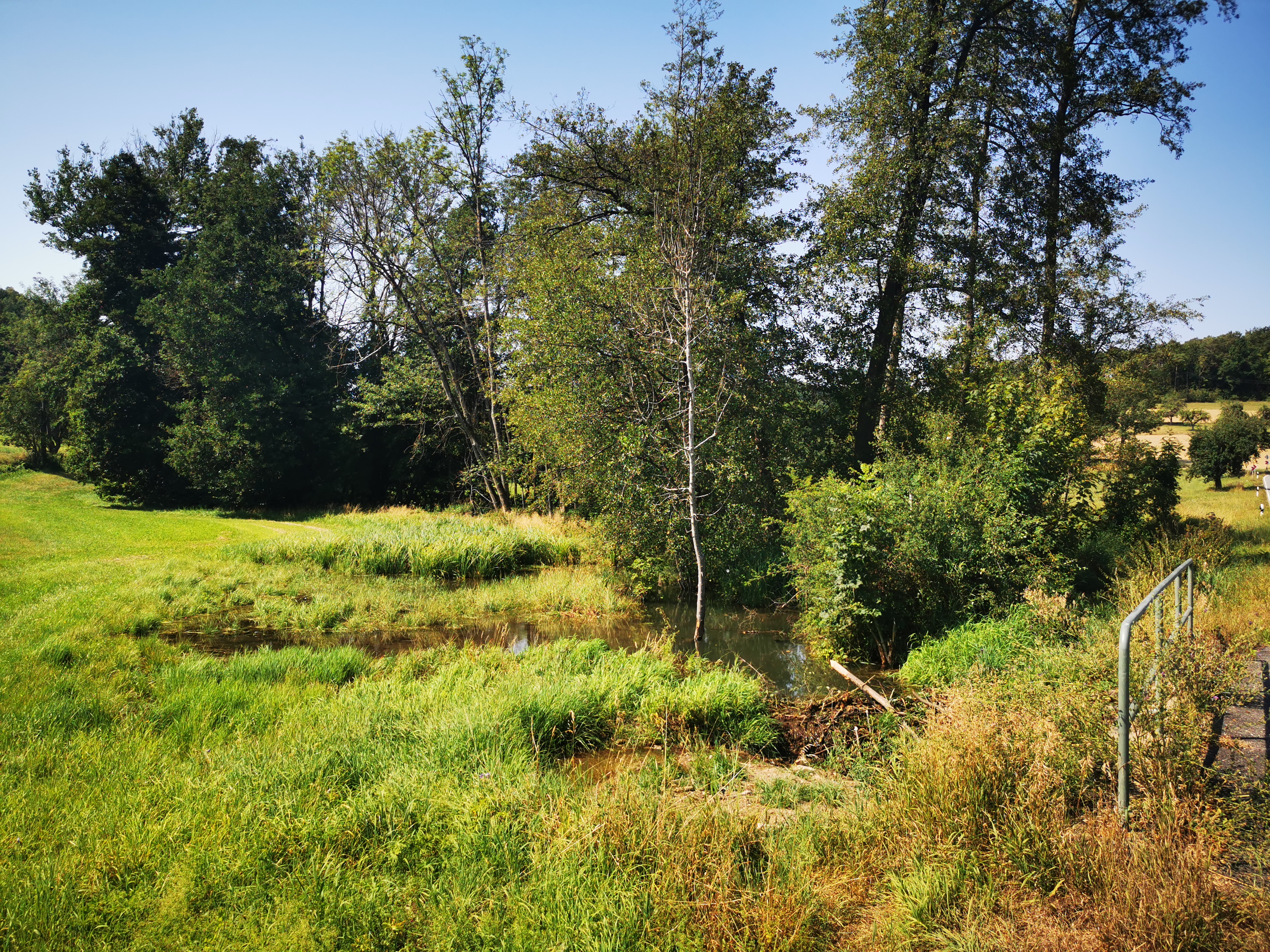 2020-08-09 Radtour Naturschutzgebiet Äußeres Ried (Boxberg)