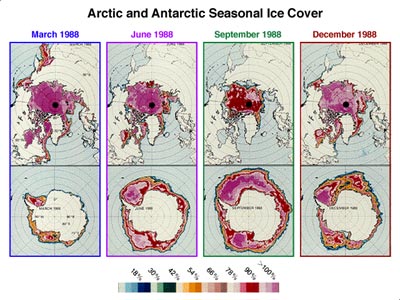 File:Arctice and Antarctic seasonal ice cover.jpg