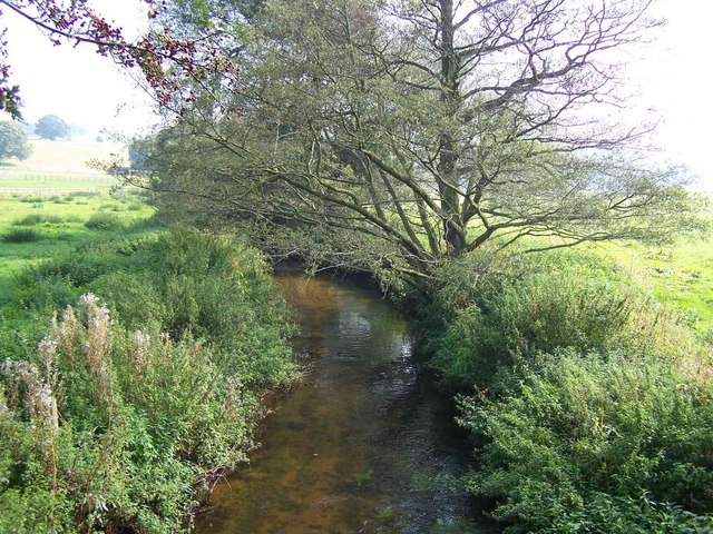 File:Black Brook - geograph.org.uk - 982118.jpg