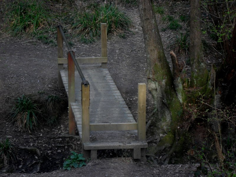 File:Bridge over stream deep in Ashplats Wood - geograph.org.uk - 3174913.jpg