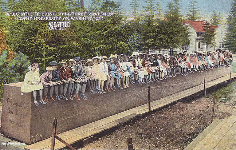 File:Children sitting on The Big Stick at the Forestry Building, Alaska Yukon Pacific Exposition Children's Day, Seattle, Washington (AYP 155).jpeg