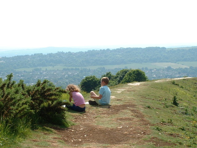 File:Cissbury Ring - geograph.org.uk - 18380.jpg