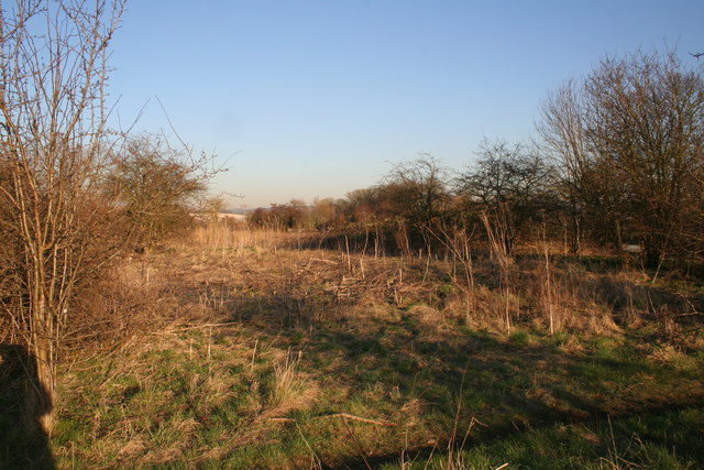 File:Dumping Ground - geograph.org.uk - 694100.jpg