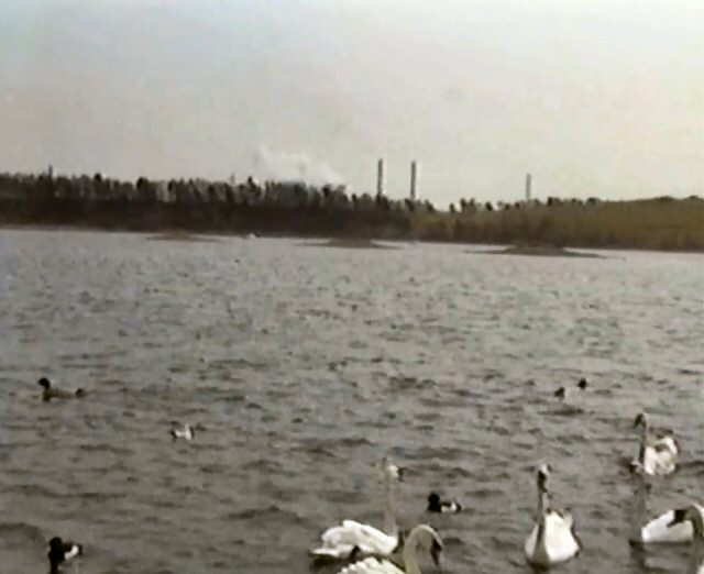 File:Fairburn Ings - geograph.org.uk - 1296762.jpg