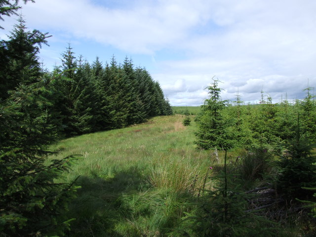 File:Limestone Flow - geograph.org.uk - 522198.jpg