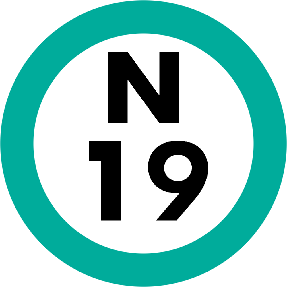 N 19