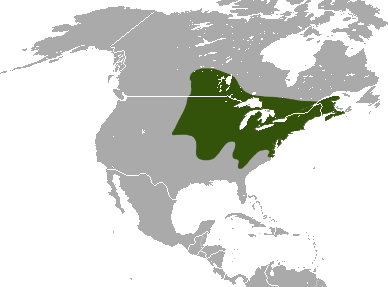 File:Northern Short-tailed Shrew area.png