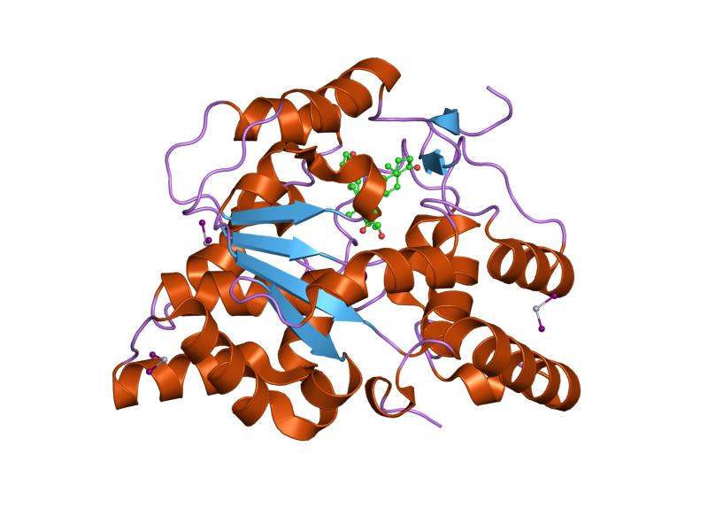 File:PDB 1j99 EBI.jpg