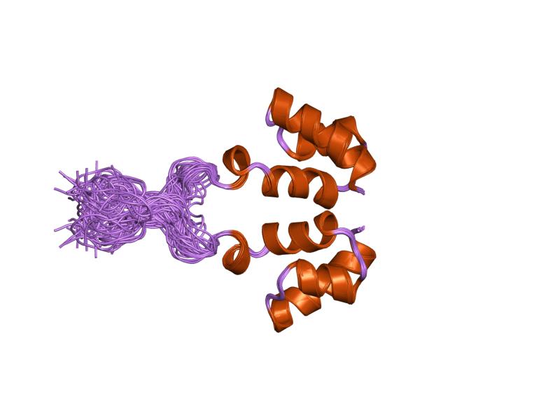 File:PDB 1wjd EBI.jpg