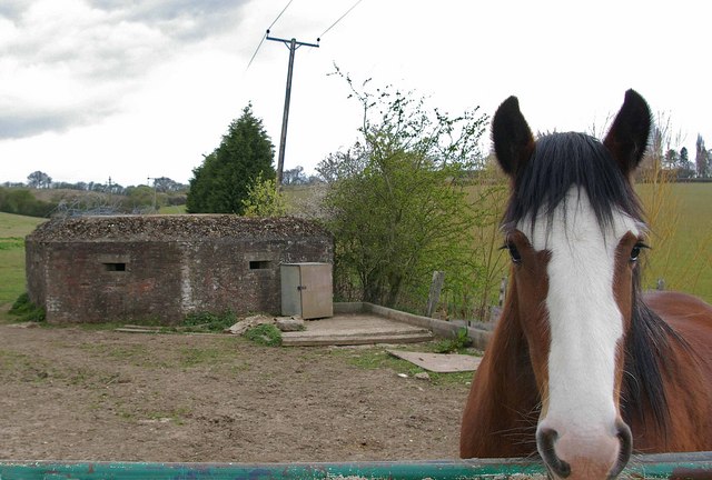 File:Paddock and Pillbox - geograph.org.uk - 751407.jpg