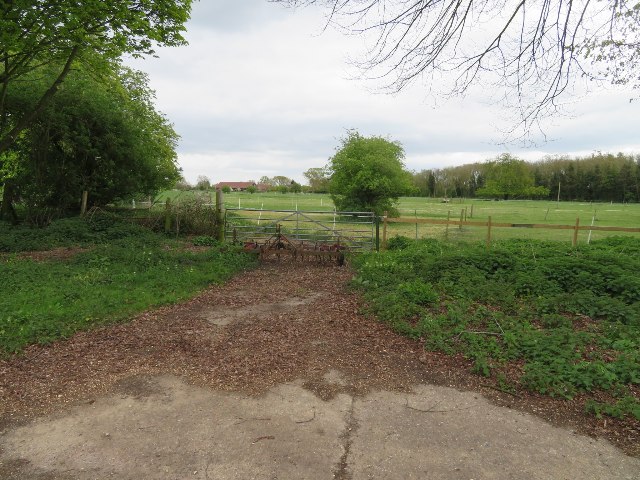 File:Paddocks behind Stow Road - geograph.org.uk - 5649138.jpg