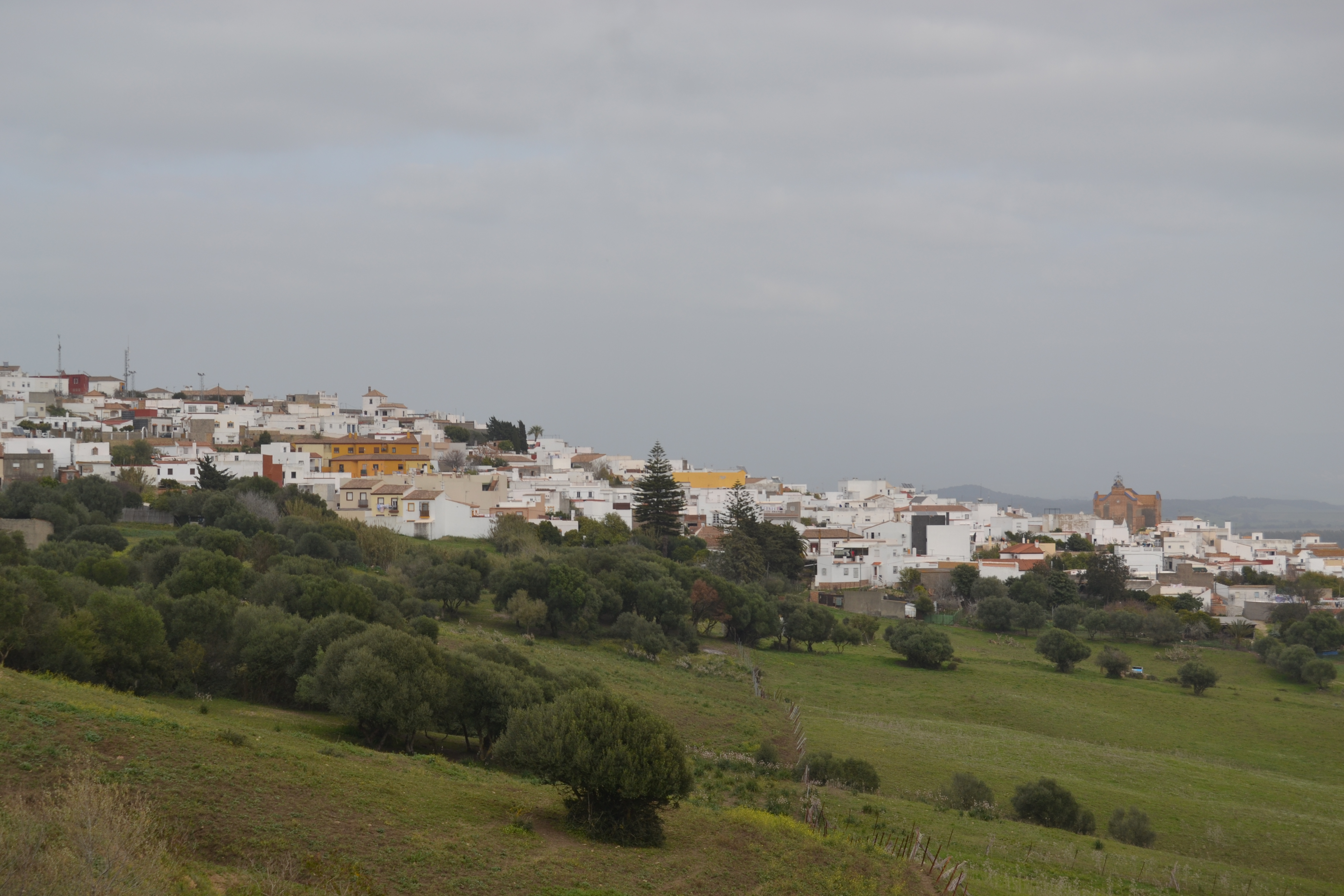 File:Paisajes de Benalup-Casas Viejas (32319642023).jpg - Wikimedia Commons