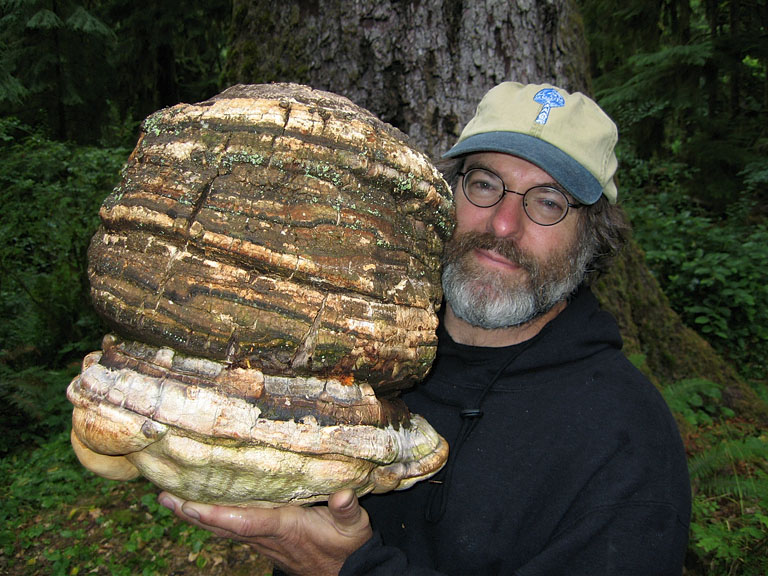 File:Paul Stamets with Agarikon.jpg