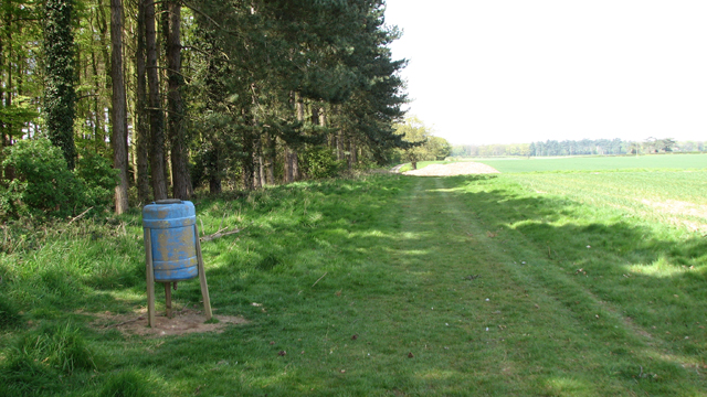 File:Pheasant feeder beside the footpath - geograph.org.uk - 4938417.jpg