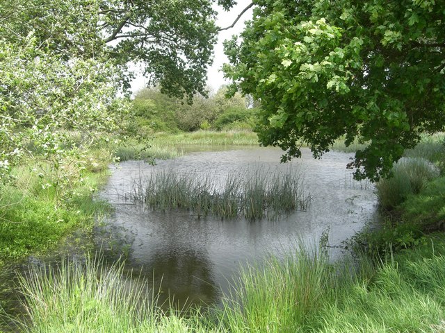 Pond by Lower Barn, Shipley - geograph.org.uk - 431579