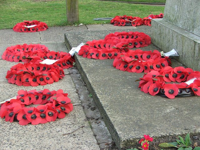 File:Poppies - geograph.org.uk - 703959.jpg