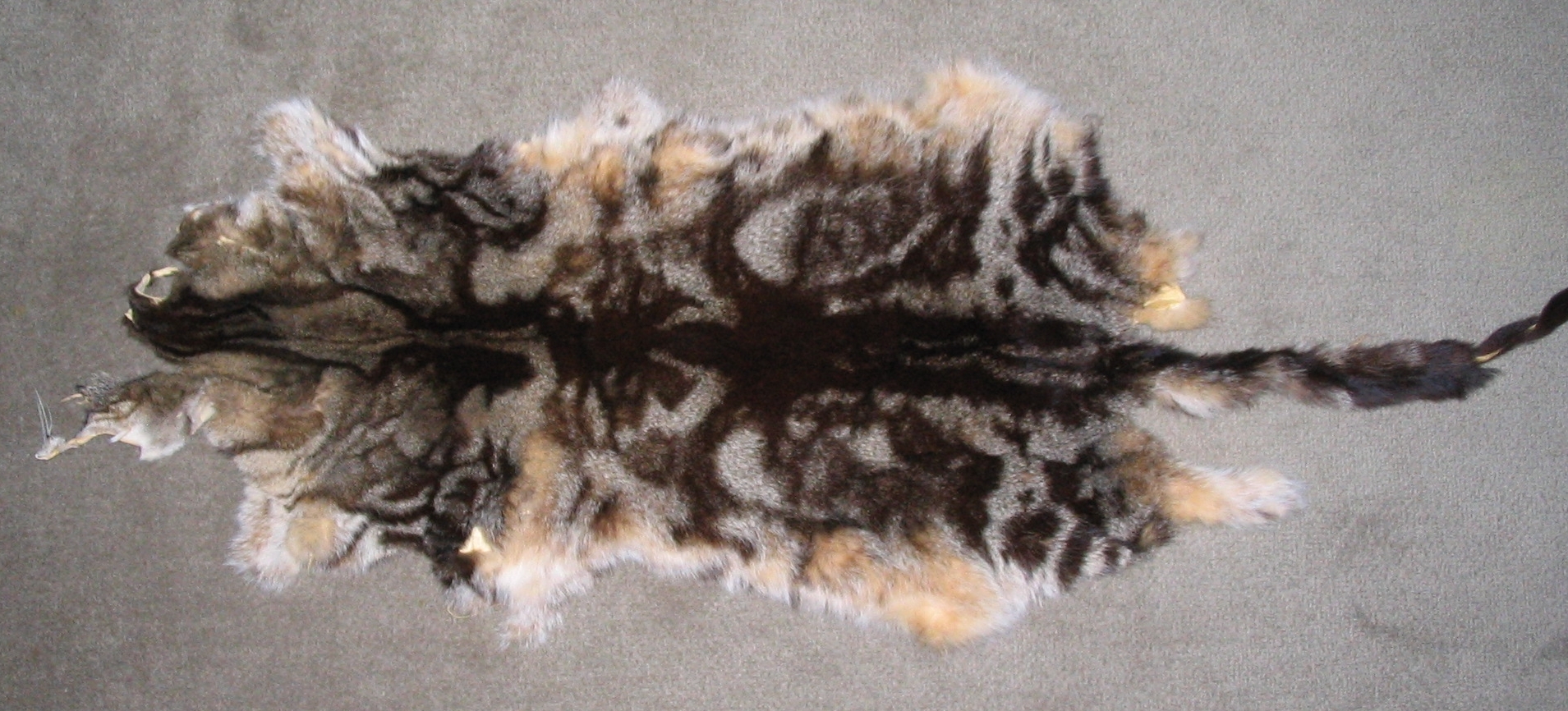 Domestic cat fur-skins.