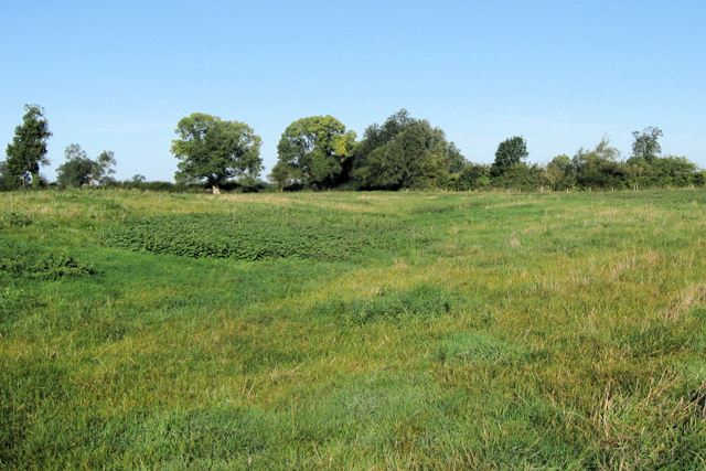 File:Site of the Medieval Village of Puttenham (2) - geograph.org.uk - 1505151.jpg