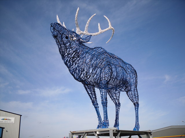 File:Stag - geograph.org.uk - 1310600.jpg