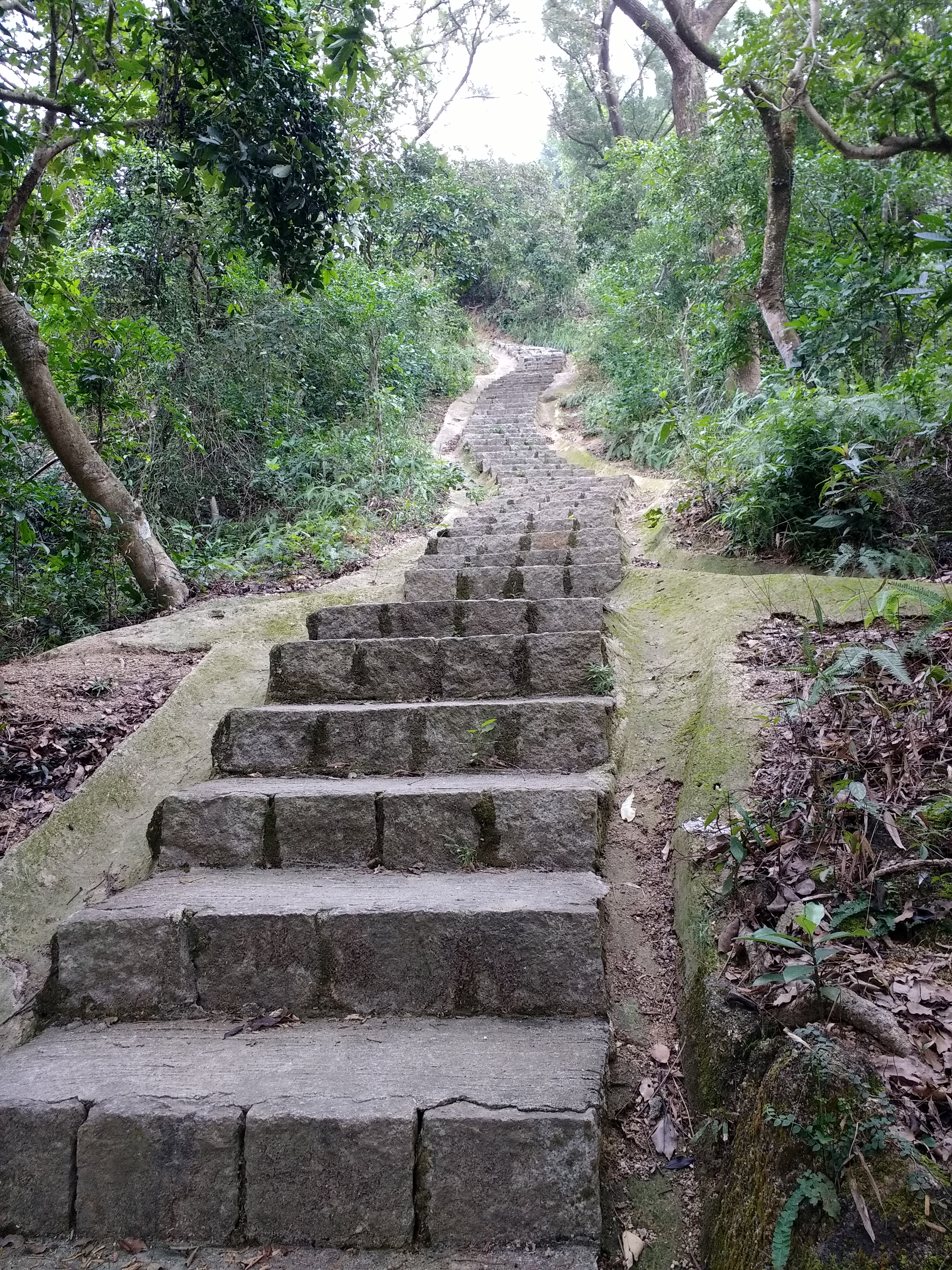 Steps on a hiking trail in Coloane, Macau