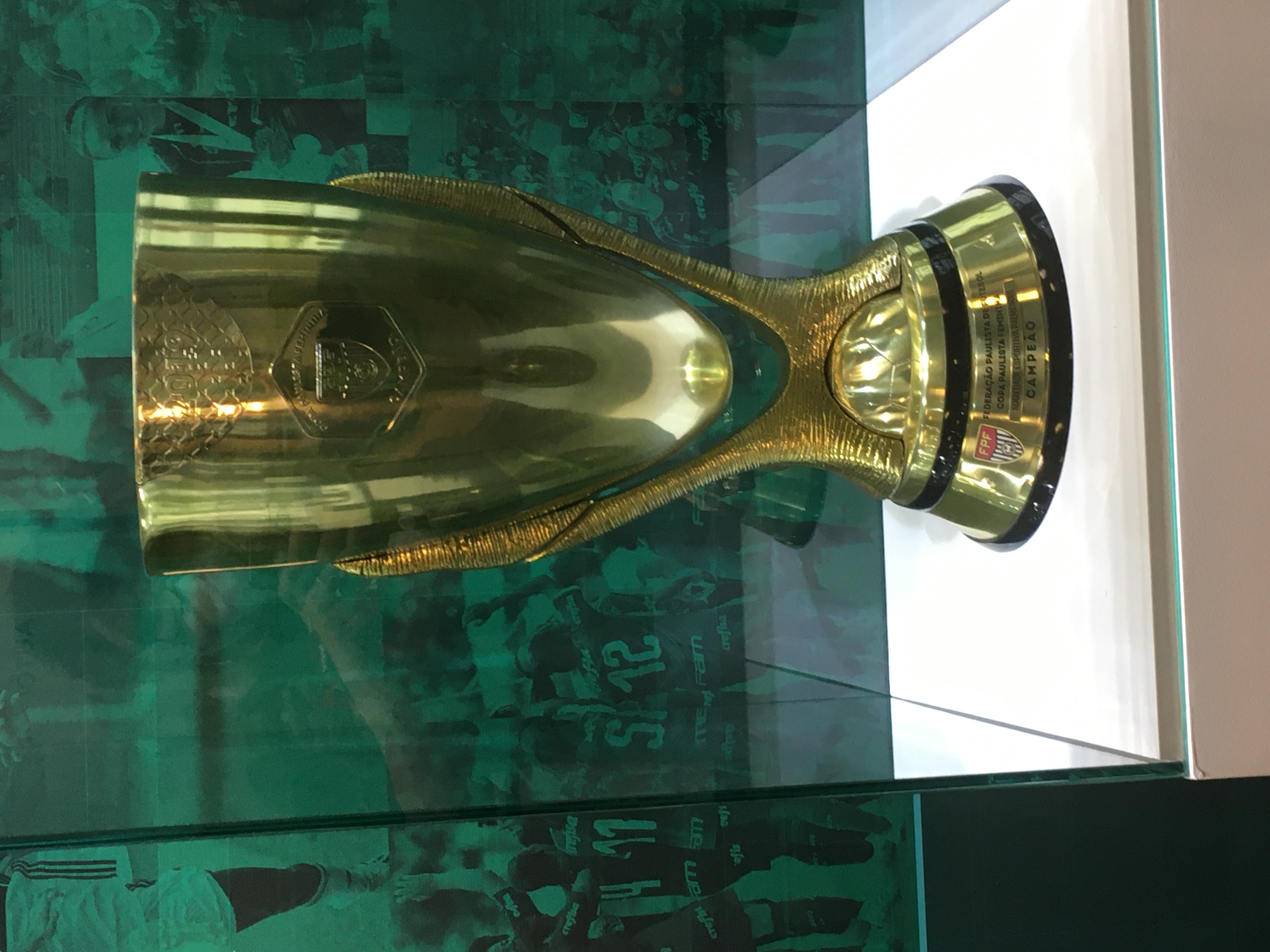 Ficheiro:Taça da Copa Paulista feminina na sala de troféus do Palmeiras.jpg  – Wikipédia, a enciclopédia livre