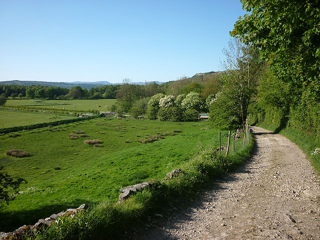 The track to Brigsteer Woods - geograph.org.uk - 2390715