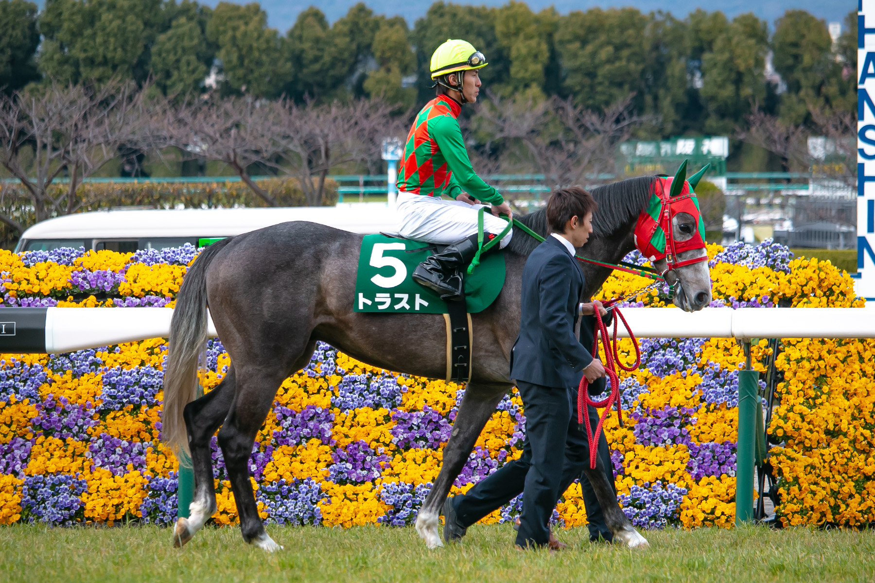 トラスト (競走馬) - Wikipedia