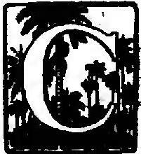 File:Urupês (1919) C (page 66 crop).jpg