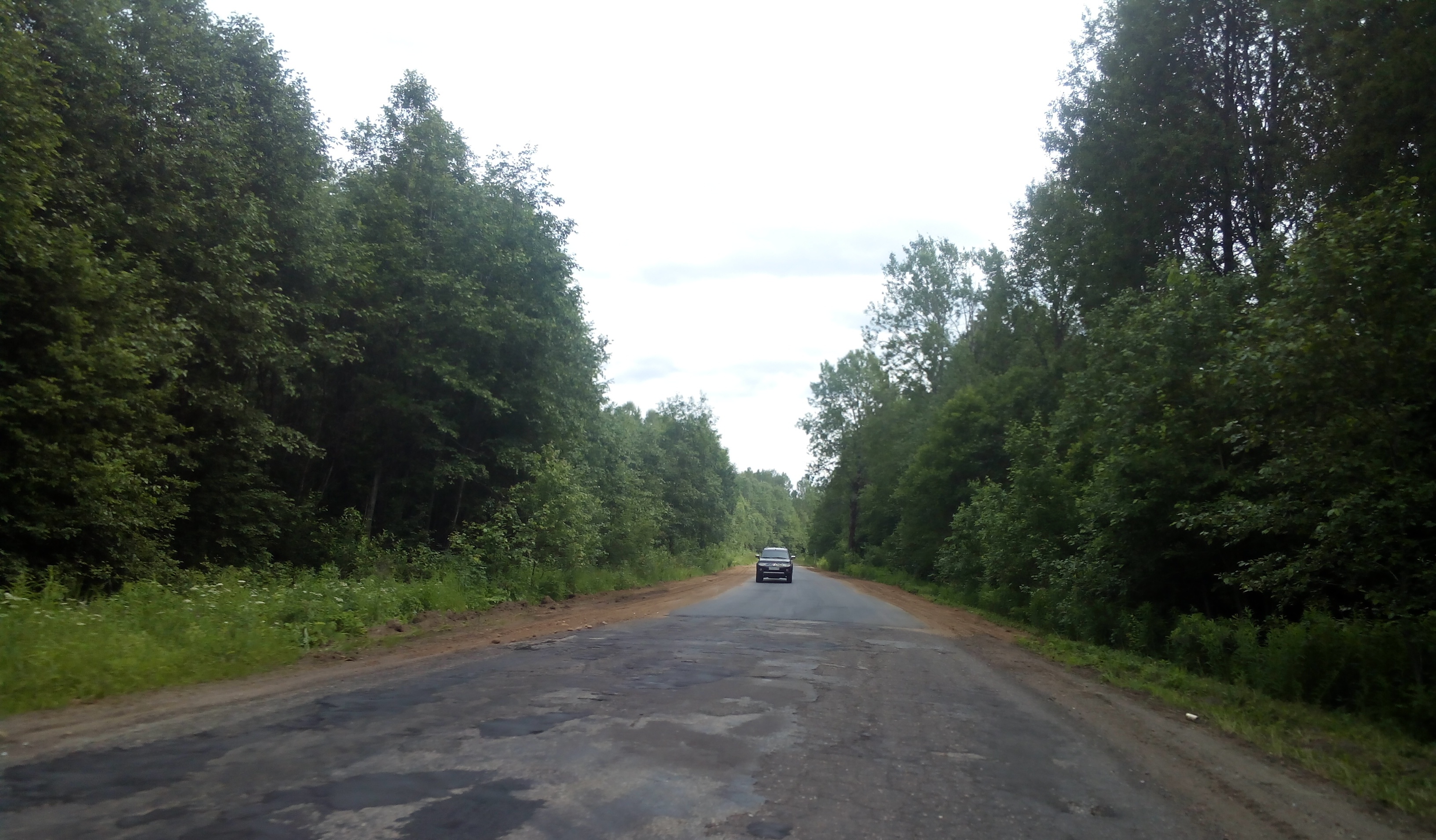 Тельбовичи Новгородская область