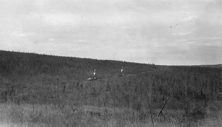 File:Wagons traveling on wagon road between Flat and Iditarod, Alaska, September 1914 (AL+CA 3976).jpg