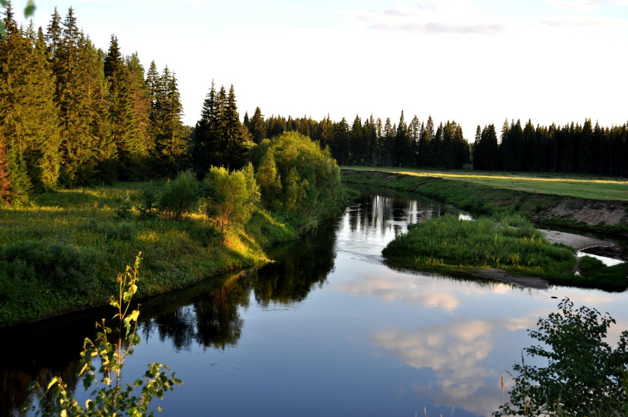 Река верхняя Лупья Архангельская область