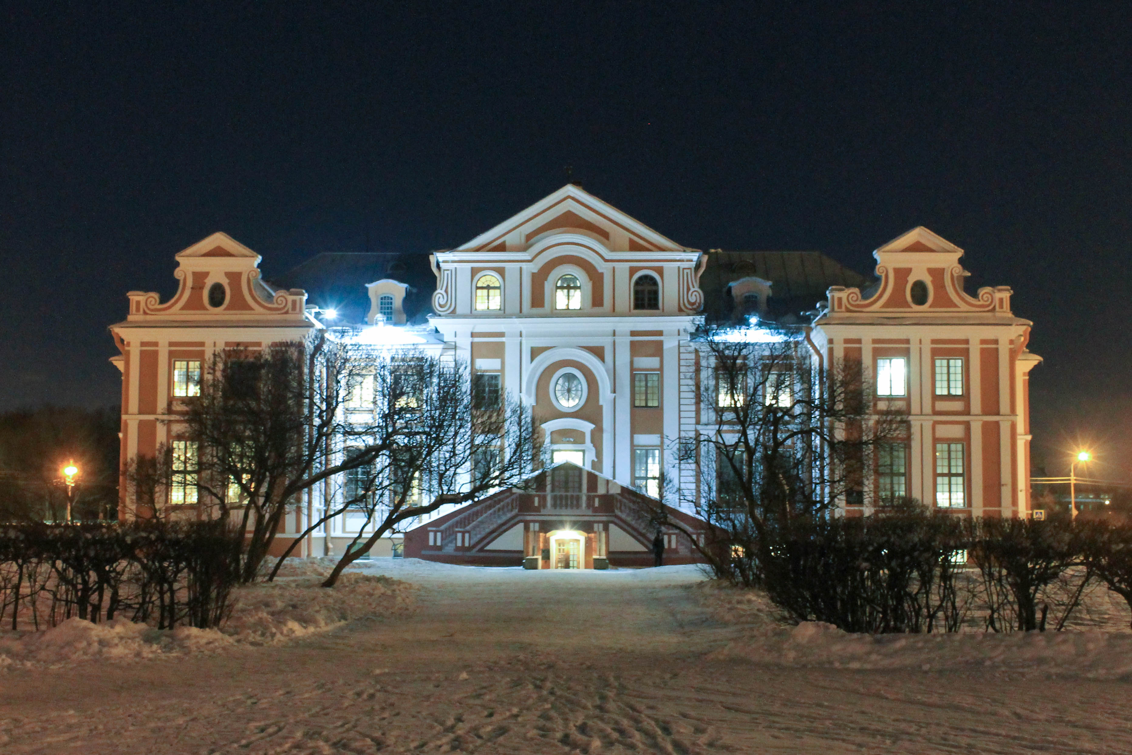 кикины палаты в санкт петербурге