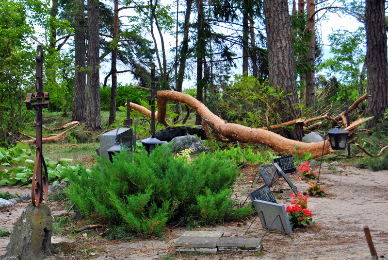 File:8. augusti torm Vainupea külas Lääne-Virumaal.jpg