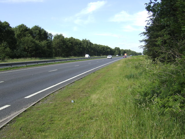 File:A11 by Bridgham Heath - geograph.org.uk - 473822.jpg