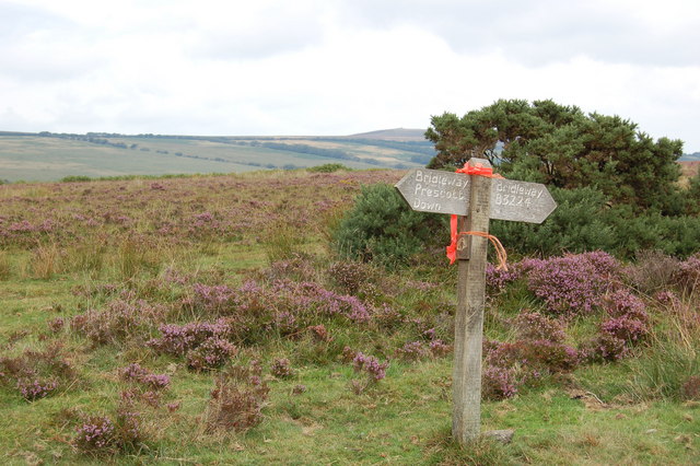 File:Bridleway sign on Kitnor Heath - geograph.org.uk - 221698.jpg