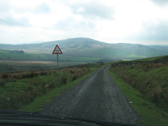 File:Cattle grid on Corse of Slakes Road - geograph.org.uk - 1309728.jpg