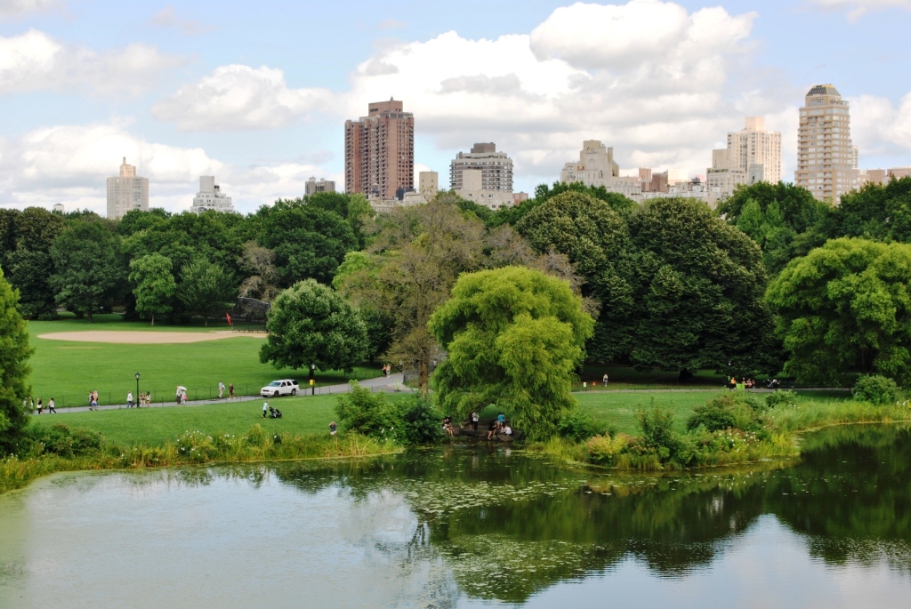 Ii park. Central Park Эталон. Central Park Москва. Центральный парк HCMC’.