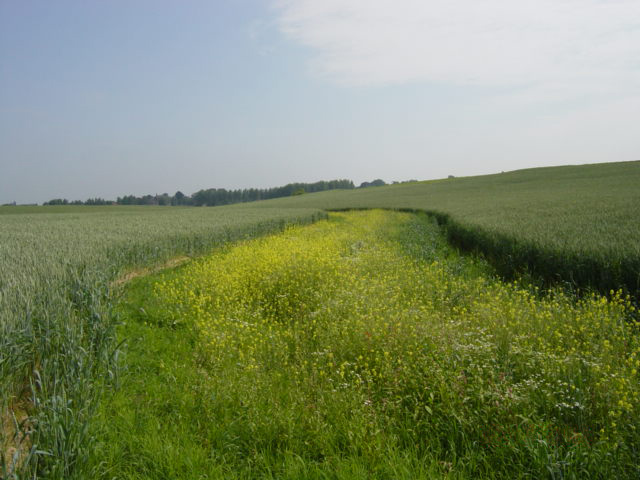 File:Chenal-beautemps.jpg