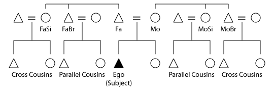 A chart showing family members in relation to a particular Subject (black triangle). Cousin-Kinship-chart.png