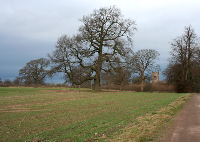 Crewe and Nantwich Circular Walk, outside Acton - geograph.org.uk - 705052