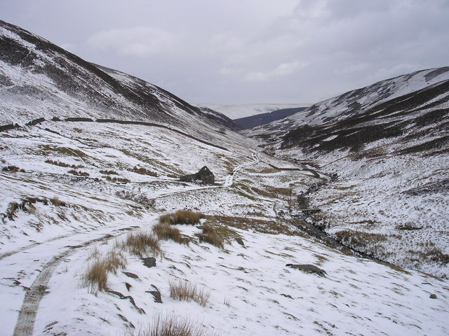 File:Down to Dryhopehope - geograph.org.uk - 753089.jpg