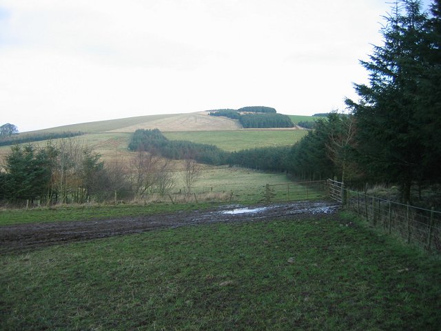 File:Fala Hill - geograph.org.uk - 111372.jpg