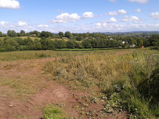 File:Farm land - geograph.org.uk - 4643426.jpg