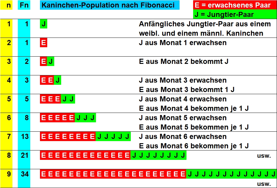 Veranschaulichung der Entwicklung der Fibonacci-Folge anhand einer
  Kaninchenpopulation