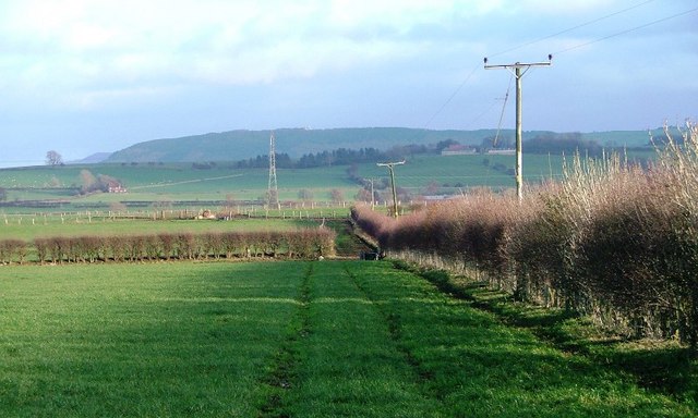File:Field Off Long Lane - geograph.org.uk - 289048.jpg