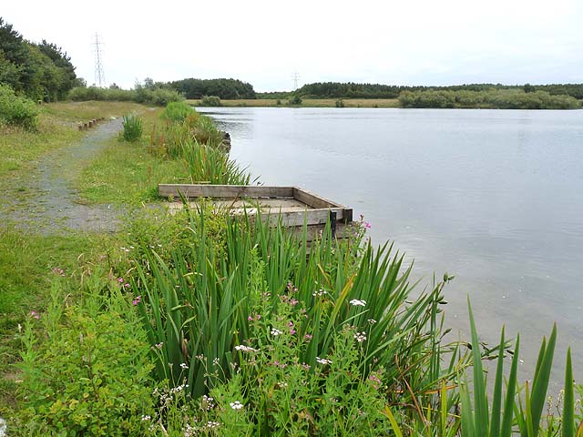Fishing stages in Queen Elizabeth Country Park - geograph.org.uk - 2506180
