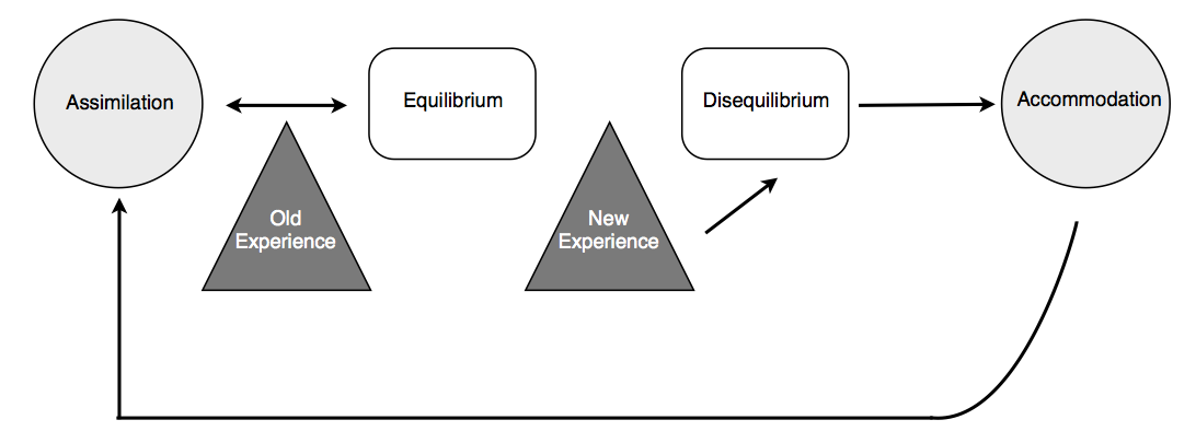 what is cognitive disequilibrium