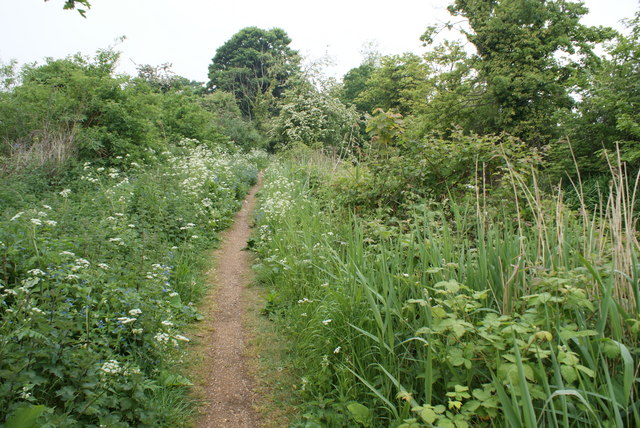 File:Footpath alongside the disused Alderman canal - geograph.org.uk - 1305103.jpg