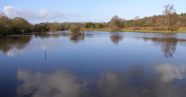 File:Fulliford Bog in flood, New Forest - geograph.org.uk - 288636.jpg