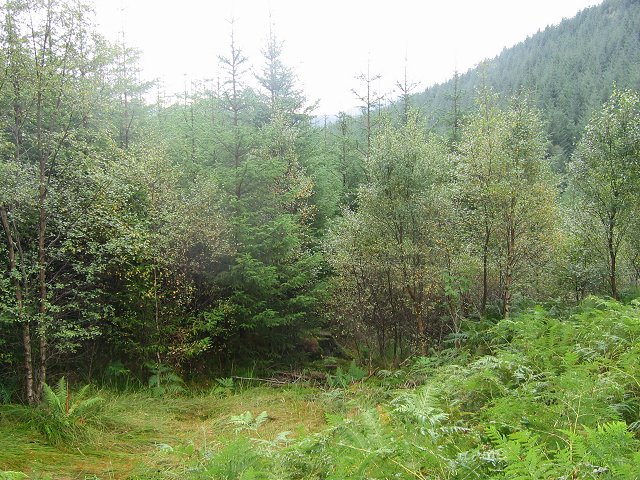 File:Gleann Ban 56° N 5°W - geograph.org.uk - 48018.jpg